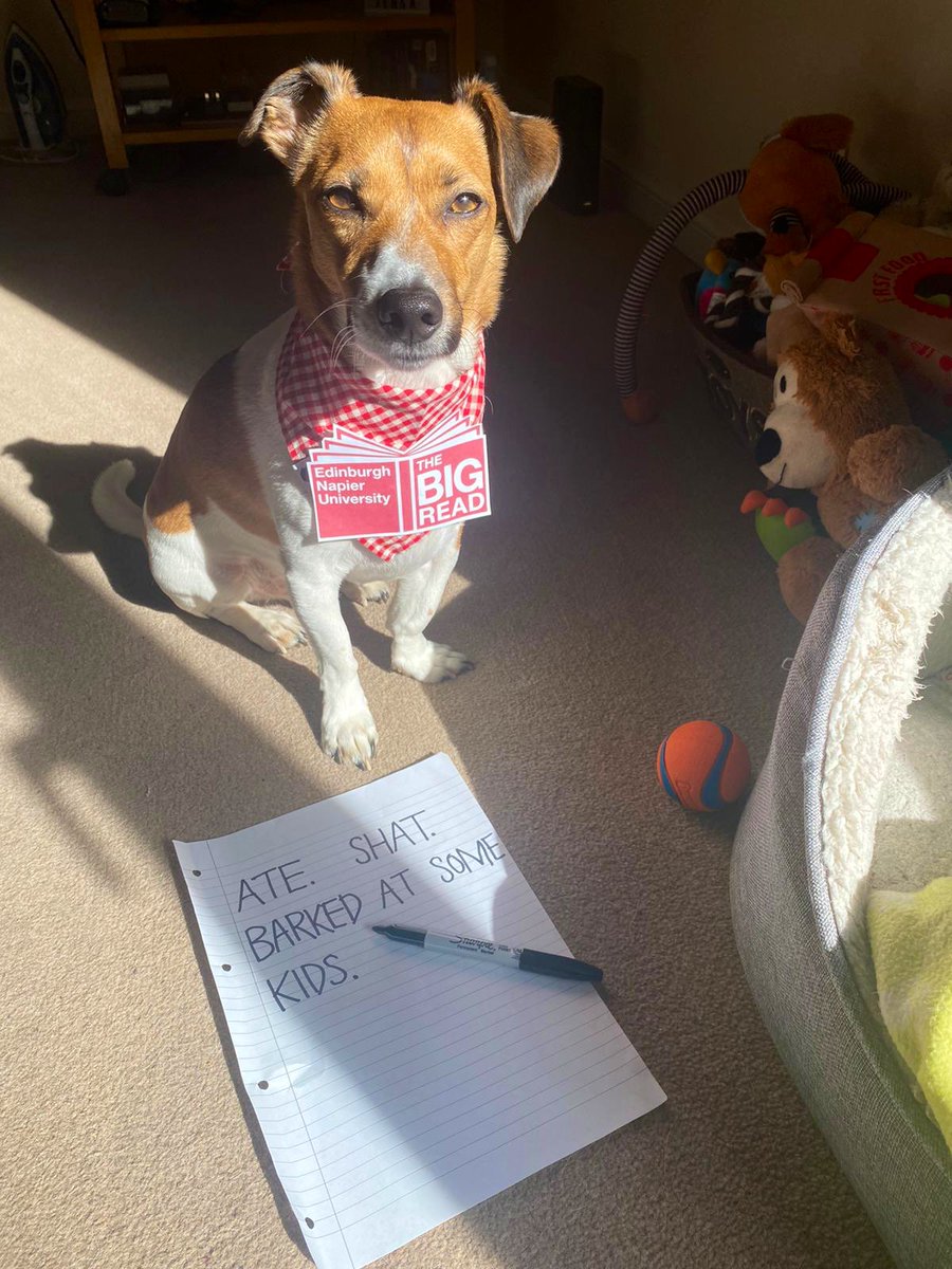 HolmstromKai's tweet photo. Just a few days left for staff and students @EdinburghNapier to submit to this year’s @NapierBigRead. Django’s been working hard on his submission... https://t.co/KC7eusl9Zj