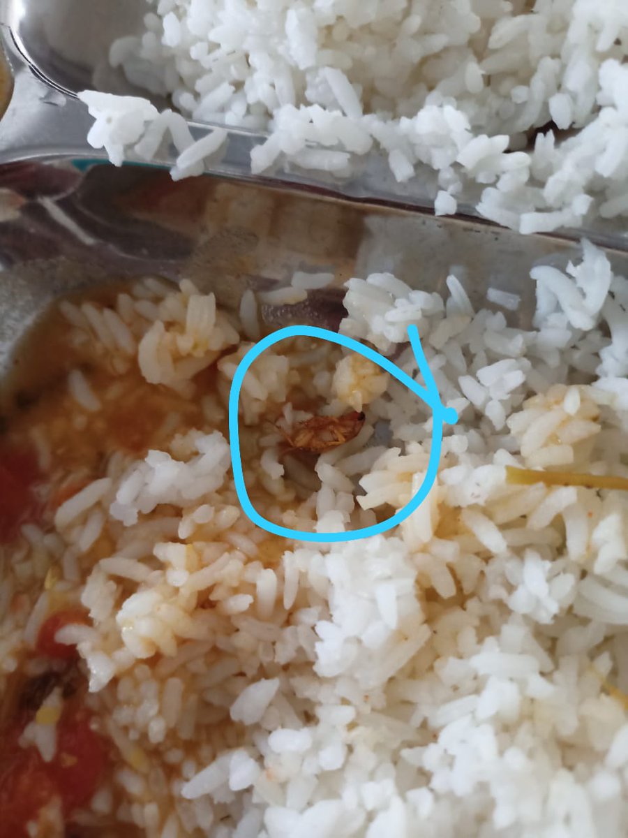 HillBuller91's tweet photo. This is what happened in  IIIT campus...no proper food..RETWEET this... We want to bring it to the attention of Higher Authors

@PawanKalyan @ysjagan @AudimulapSuresh @ncbn

#rguktongoleiiit https://t.co/xzHyvnBqEI