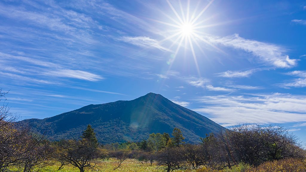 Mont Torné tweet media