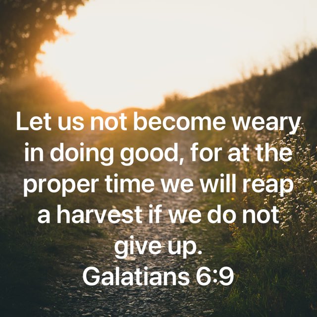 bible.com/111/gal.6.9.niv