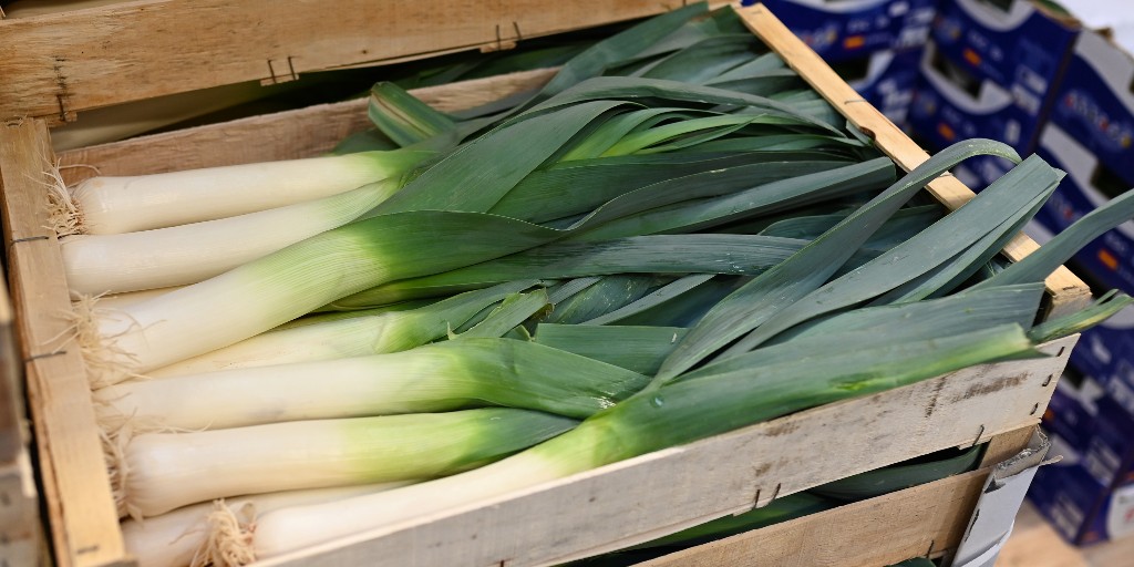 bhamwsmkt's tweet photo. It definitely feels like the start of spring here at the Wholesale market ๐๐ฑ๐
#springstarts #20march #spring #flowers #bulbs #vegetables #eatfreshinbrum https://t.co/p7RCaxYESs