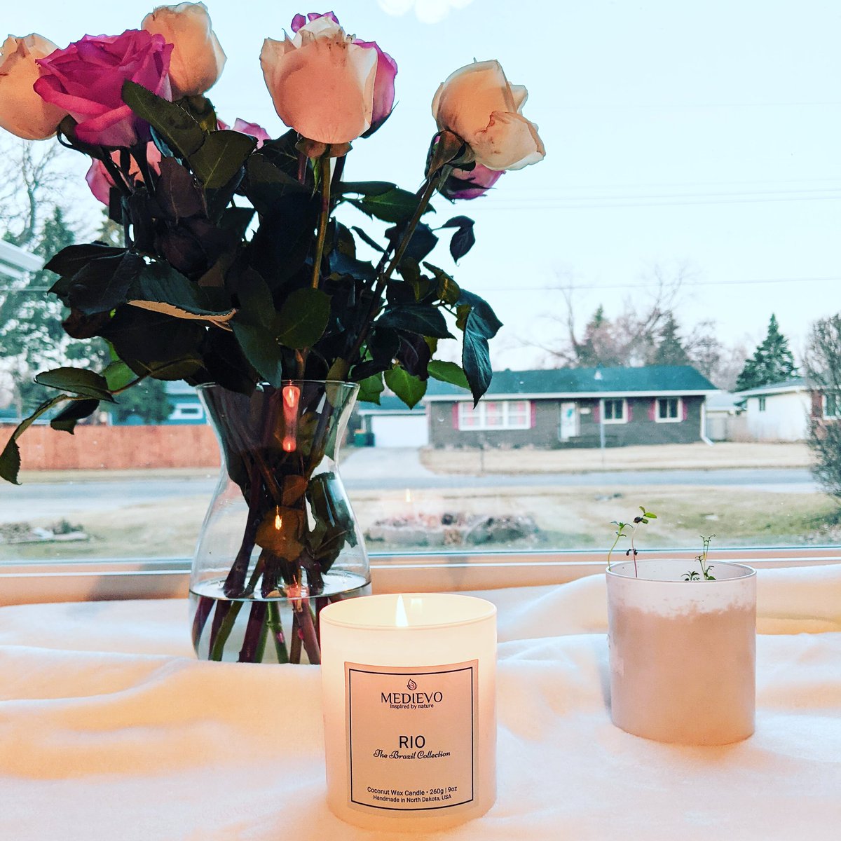 Good morning and happy first day of spring 🌺🌼