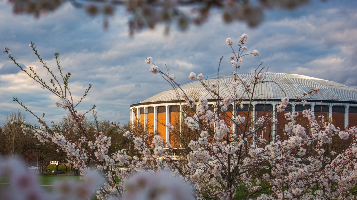 ohiou's tweet photo. Happy #FirstDayofSpring, Bobcats!

We’re eagerly awaiting the arrival of the cherry blossoms 🌸 https://t.co/U6MeSsTquq