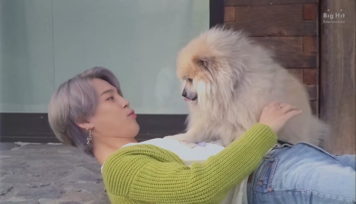 Me You Key ジミンちゃんの優しいお顔 癒やされる そばを離れたくないよね このワンちゃんの中に人間が入ってたりしませんよね 着ぐるみ着たら 同じようにヨシヨシしてもらえるかな Whatdoyoubelieveln Hybe Bts Parkjimin