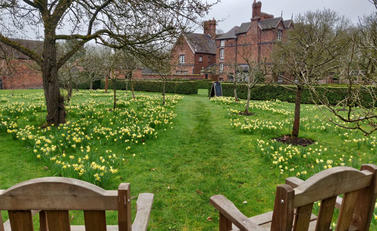 Today is officially the first day of spring. The daffodils are in full bloom in the orchard and the cherry plum blossom is putting on a wonderful display in the meadow. Taking time out to enjoy nature is so important for our wellbeing #BlossomWatch #NationalTrust #spring