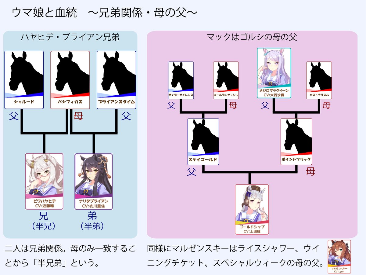 競走馬の血統上の繋がりからウマ娘同士の関係性を紐解く 意外な親子関係の数々や日本近代競馬の礎 サンデーサイレンスの偉業が垣間見える Togetter