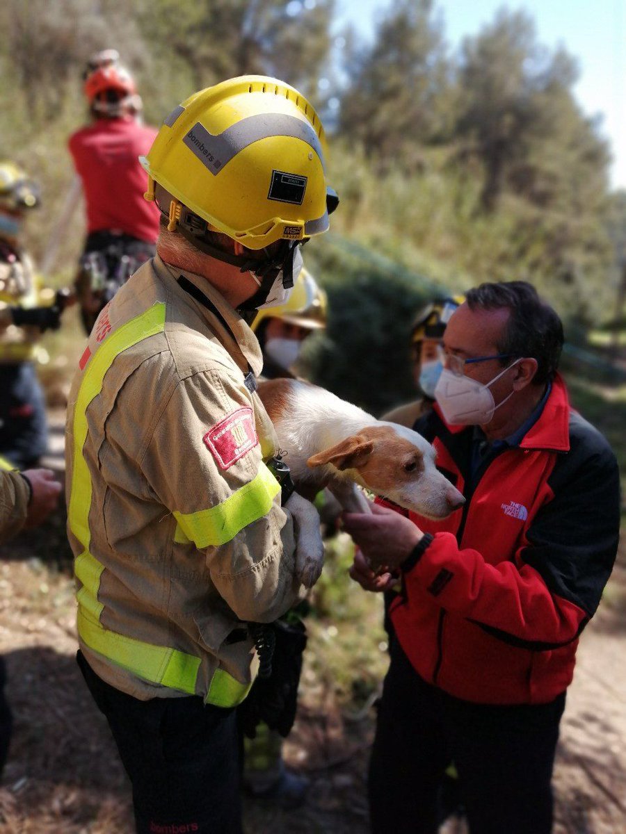 bomberscat's tweet photo. Aquest migdia, #bomberscat i la nostra Unitat #GRAE ha treballat al barri de Marianao (Sant Boi de Llobregat) per rescatar 3 gossos que eren dins d'un pou. Hem hagut de baixar fins al fons per treure'ls, sans i estalvis. https://t.co/CvFA4chngk