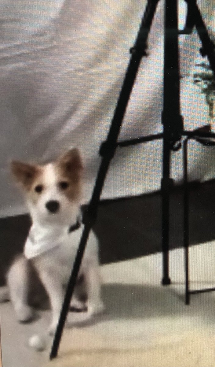 210320 mini fm #로제 #ROSÉ
#블랙핑크 #BLACKPINK