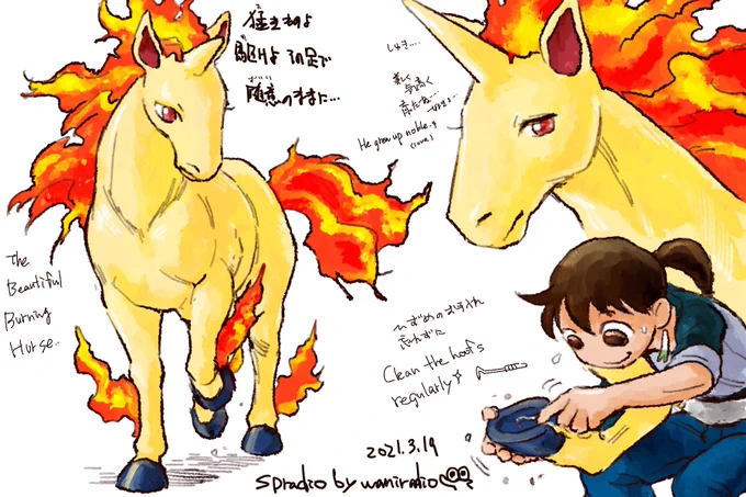 #ポケモンと生活 
#ポケモンGO 
#ギャロップ
#Pokemon
#Rapidash
1日に1匹のポケモンを描くチャレンジ?
78日目は角も生え逞しくなったギャロップ! ?? 