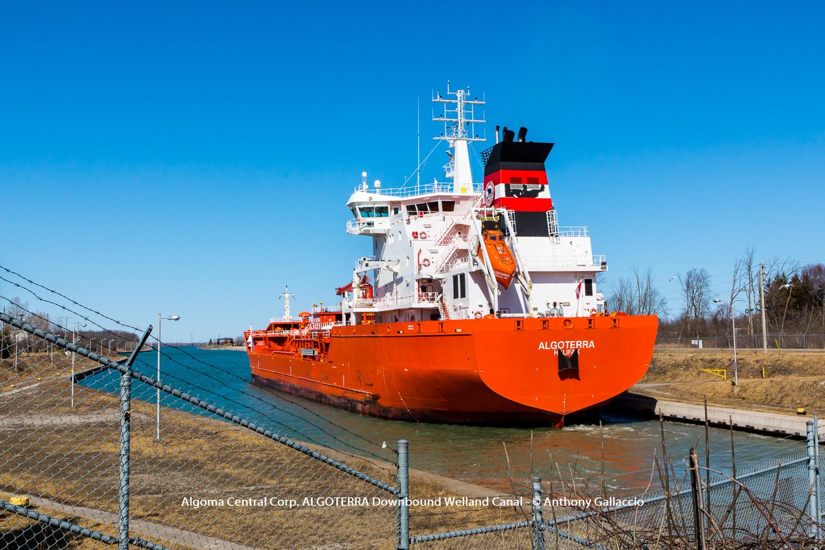 A_Gallaccio's tweet photo. .@AlgomaCentral's #ALGOTERRA #downbound #Wellandcanal #Lock8 @PortColborne @hwyh2o
https://t.co/wVQaYJmYI6 https://t.co/WWBsF9CvB5