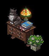 Citrouille tweet media