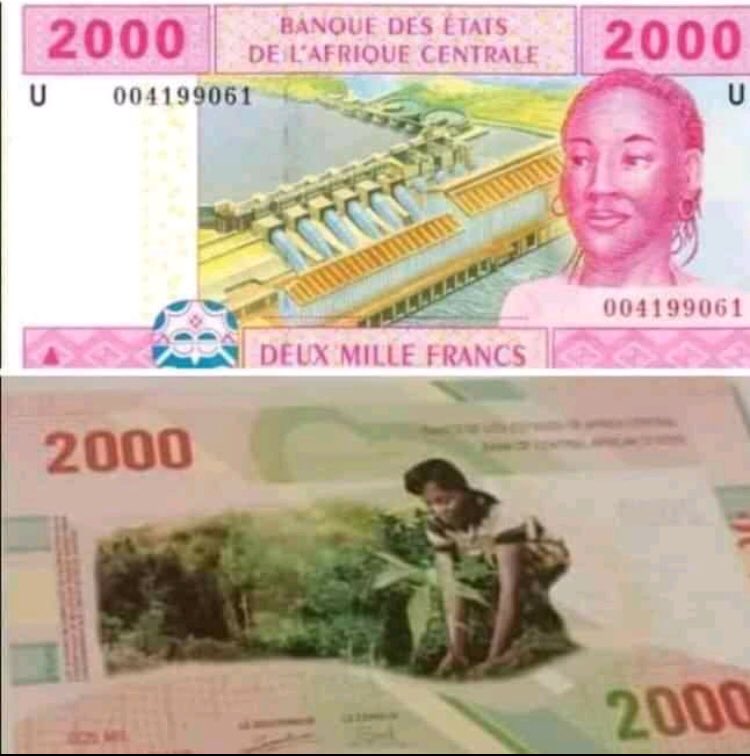 Ulrichlejumeaux's tweet photo. Sur l’ancien billet de 2000f la femme observait seulement. Grâce au #SYNDICAT sur le nouveau billet elle travail . 
Le transport reste à #2000Fcfa https://t.co/jLsb2dXscH