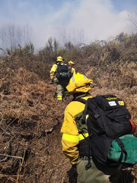 El_Batefuegos's tweet photo. [14:17h] #IFRebollar #Cáceres
La @BRIF_PINO  continua trabajando en labores de consolidación de perímetro de cola a cabeza en el #IncendioForestal. 
#IIFF #IF https://t.co/j28HUHc1fr