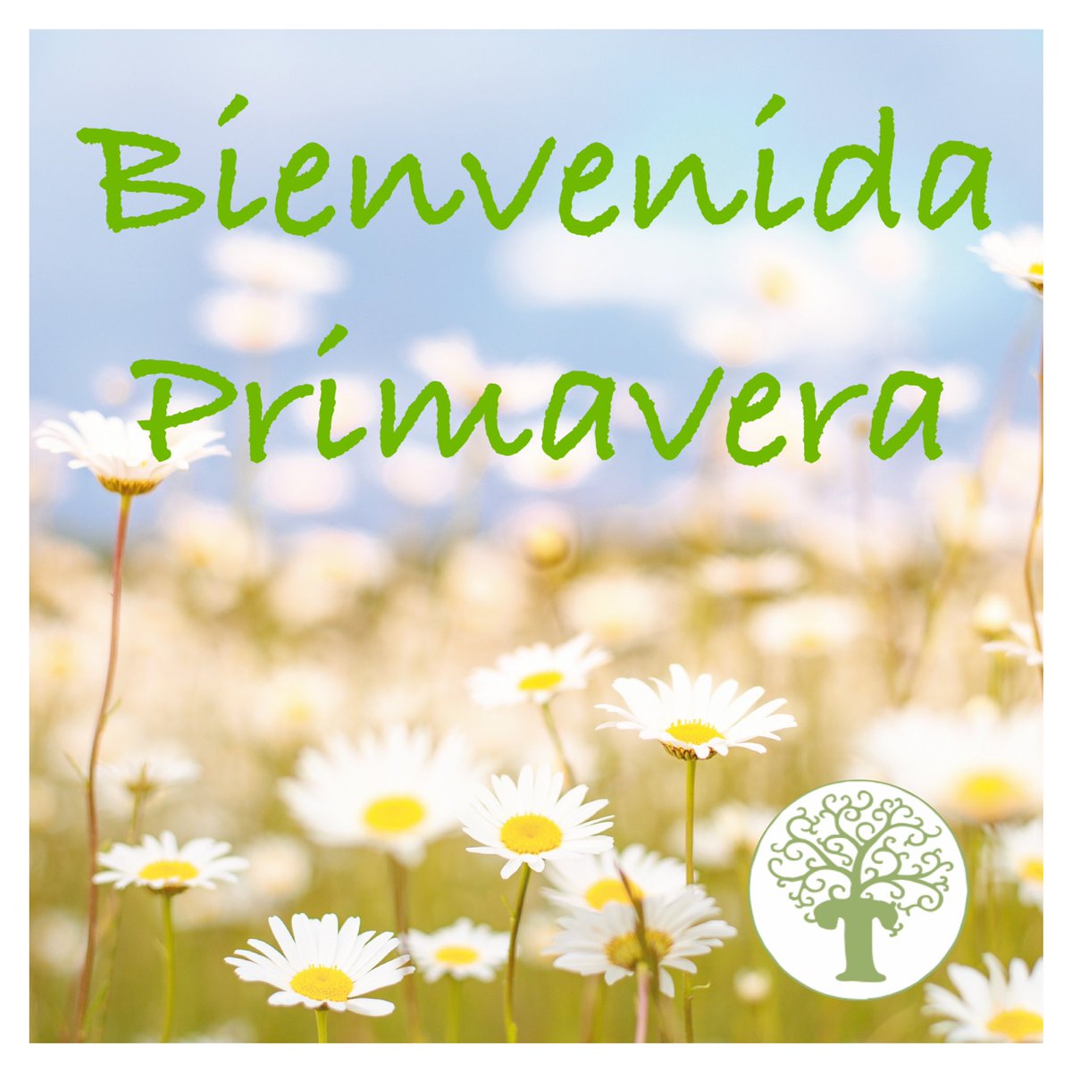 HTakasala's tweet photo. Desde Herbolario Takasala:
#BienvenidaPrimavera!!!
#FelizDia #Primavera #PicOfTheDay https://t.co/WWOaYlY76y