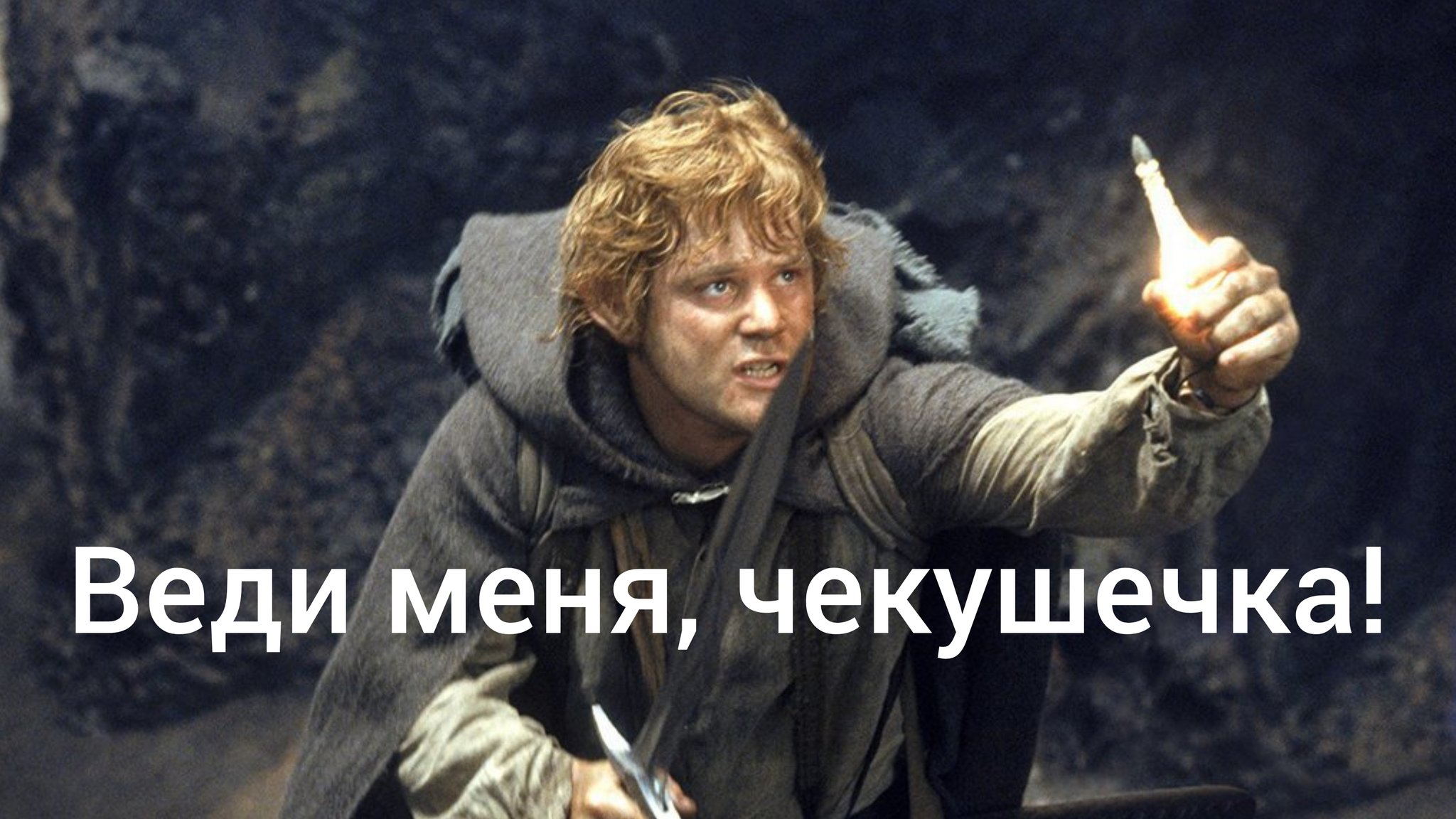 Веди меня чекушечка
