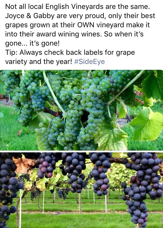 New Lodge Vineyard tweet media