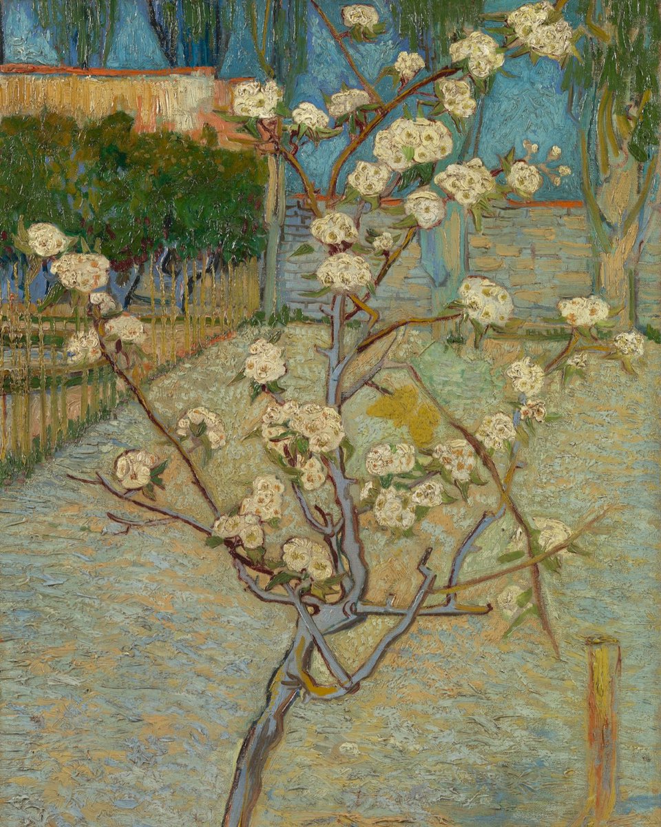 vangoghmuseum's tweet photo. Today is the start of spring in the northern hemisphere! 🍃🌷 
📝 ‘…you know these subjects are among the ones that cheer everyone up’, he wrote to his brother Theo about blossoming trees. https://t.co/8nzg9jOzQs