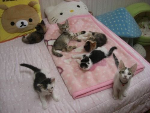 berfinetje's tweet photo. omg this looks exactly like my house... in a couple of years https://t.co/PlzkWXdbSb