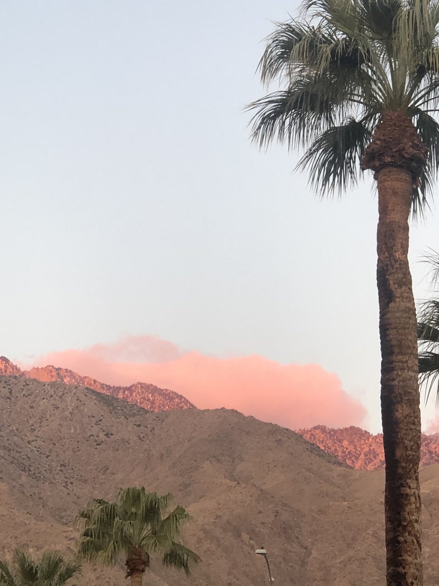 INNdulge PalmSprings tweet media