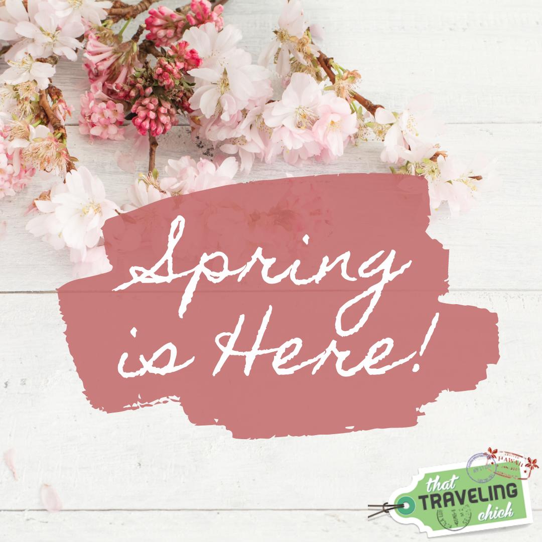Hello Spring! Who’s excited for warmer weather? 

I am NOT a winter girl, mostly due to living in Minnesota. However, this year we left Minnesota January 24th, and so I have missed out on all the ick weather Minnesota pukes up.  LOL! 
Living the retired life in Arizona, and T... https://t.co/2nyxZ4JvBg