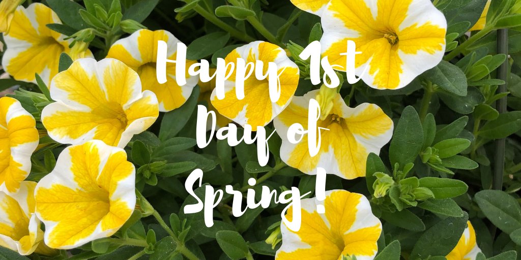 Happy 1st Day of Spring! Flower season is right around the corner and we can't wait. Have you started planning your gardens yet?