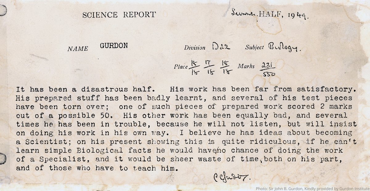 NobelPrize's tweet photo. Despite his teacher’s opinion that he couldn’t learn simple biology, John Gurdon went onto receive a #NobelPrize, thanks to his classic frog experiment which showed that the DNA of mature frog cells has all the information needed to develop all cells in its body.

#WorldFrogDay https://t.co/YlXYDUgs7t