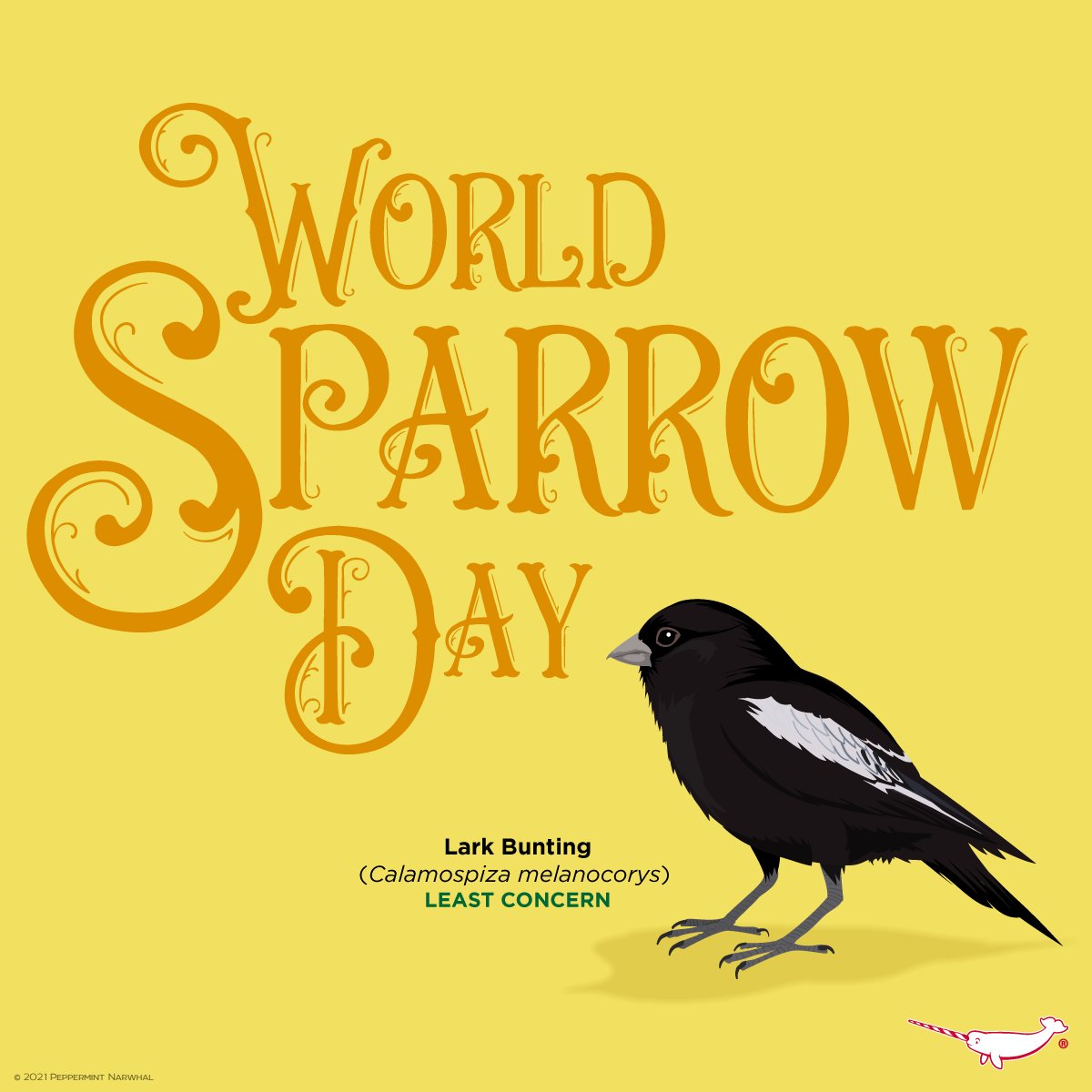 Happy #WorldSparrowDay #LarkBunting 

Etsy etsy.me/2uz5l6k
Redbubble rdbl.co/1IkK0AY
TeePublic rb.gy/ecngrr
Zazzle rb.gy/piu1qw
YouTube: rb.gy/mn4q77