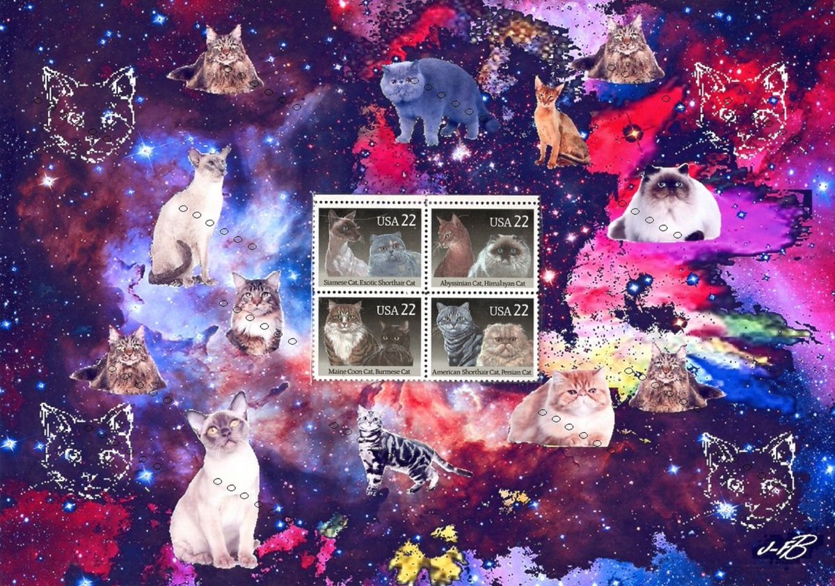 barbierjeanf's tweet photo. Purebred cats, A4 photo print with vintage stamps, creation in 1 copy by JFB.
https://t.co/t4DNEQCc7v
#UnitedStates1988 #purebredcats #A4photoprint #catspets #Walldecoration #animalportrait #vintagestamps #Siamesecat #exoticshorthaircat #sacredburma #uniquesignedmodel #digitalart https://t.co/uArVsGEz3W