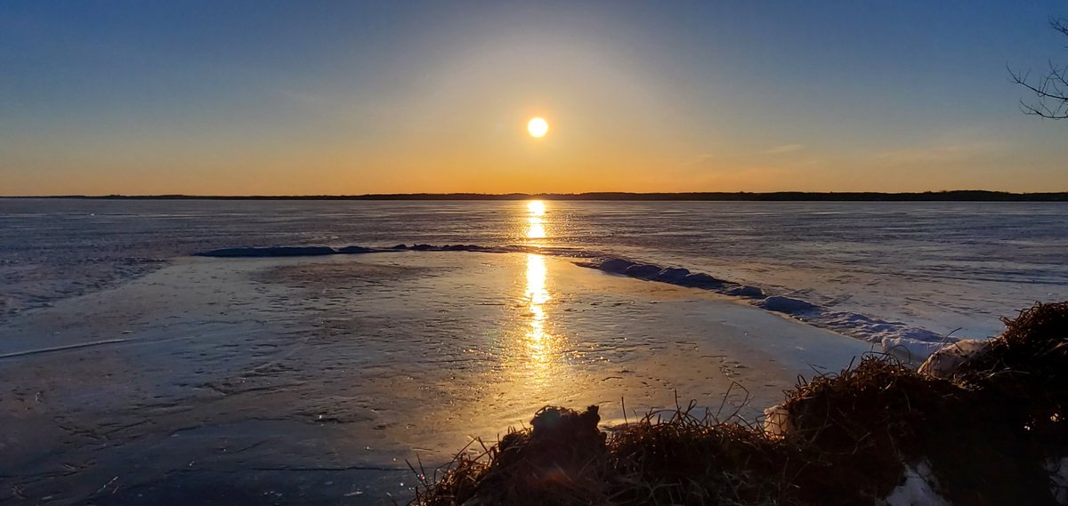 DebDeb0223's tweet photo. Good Morning!!  Hope you all enjoy the first day of Spring. 😎🌞😊🌷 #Lakescugog #Ontario #ThePhotoHour @StormHour #StormHour #ShareYourWeather #spring #sunrise #sunshine https://t.co/XpHzsT1OqH