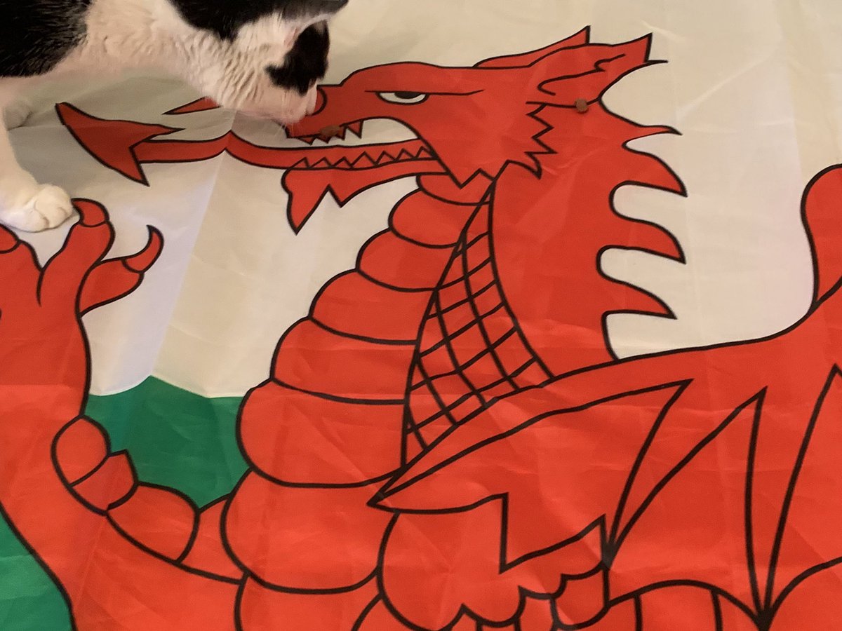A good luck kiss for the Welsh dragon ... with you all the way in spirit today <a href="/WelshRugbyUnion/">Welsh Rugby Union 🏴󠁧󠁢󠁷󠁬󠁳󠁿</a> 🏉🏴󠁧󠁢󠁷󠁬󠁳󠁿 #SixNations #SixNationsRugby #GuinnessSixNations