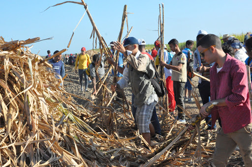 DiosvanyAAb's tweet photo. Ya alcanzamos las 546 brigadas con más de 14 mil jóvenes en toda #Cuba sumados a la recuperación cañera, producción de alimentos, construcción y aporte efectivo en organismos y empresas. La respuesta no podía ser otra, somos el presente, conectados con la Revolución @DiazCanelB https://t.co/r6rSfb1Jlz