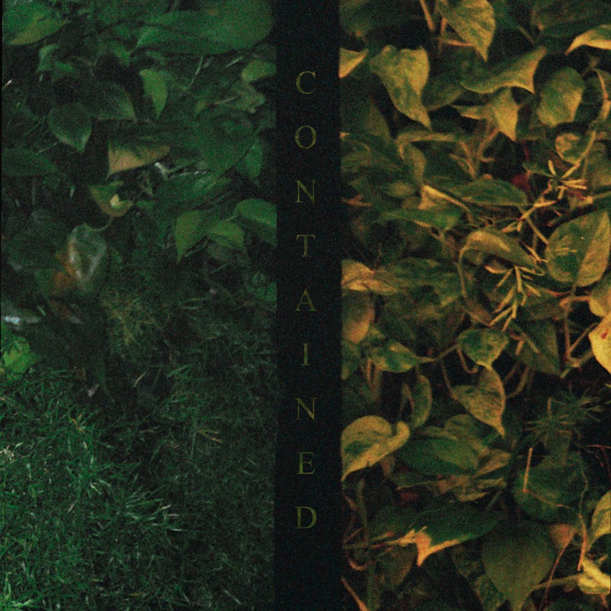 “Contained” out 3/26 🌻 Pre-save link in bio!
