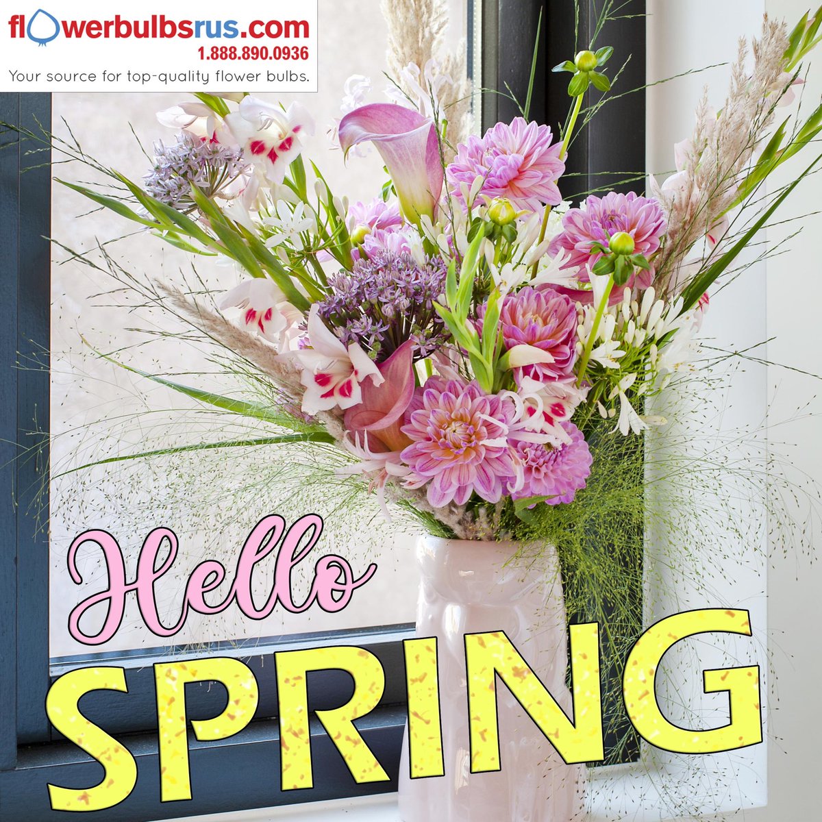 Happy first day of spring!☀️ 
Have a great weekend!

flowerbulbsrus.com
.
.
.
#thinkspring #firstdayofspring #spring2021 #happyweekend #flowers #landscaperendering #garden #dahlia #gladiolus #lily #hellospring #supportsmallbusiness #shoplocal #canada
