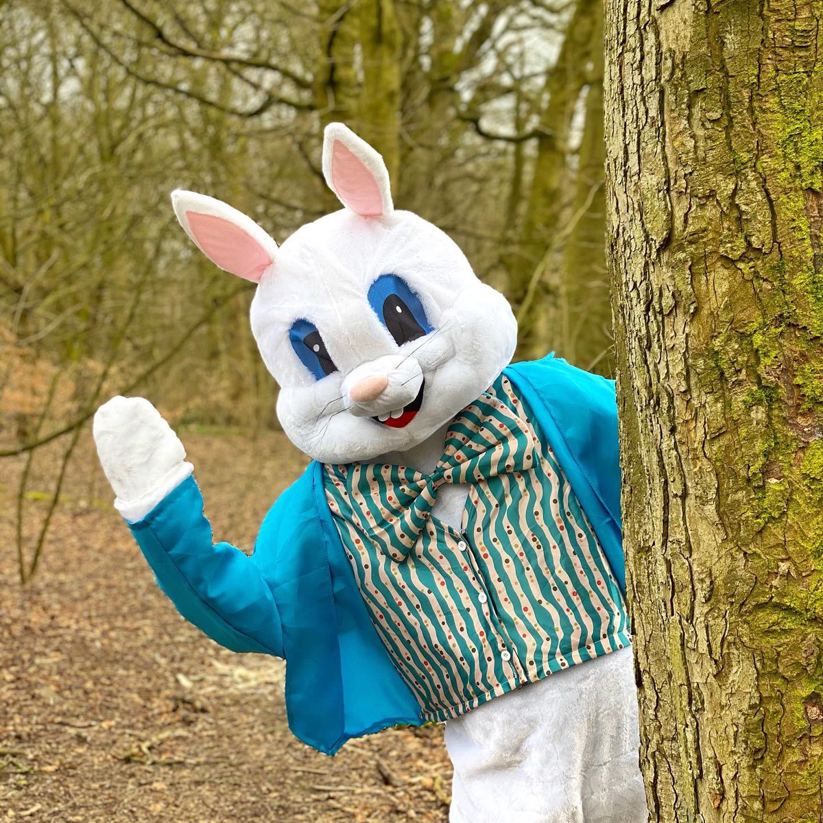 placetopotter's tweet photo. We are so excited to be offering Easter Bunny doorstep visits for Saturday 3rd &amp; Sunday 4th April! 🐰 🌼 We will be travelling roughly within 4 miles of Heaton Park. 

⭐️ Our Earlybird Offer is running until the end of tomorrow. Just £15 per visit (plus £5 per additional child) https://t.co/2JEOlCi7Jg