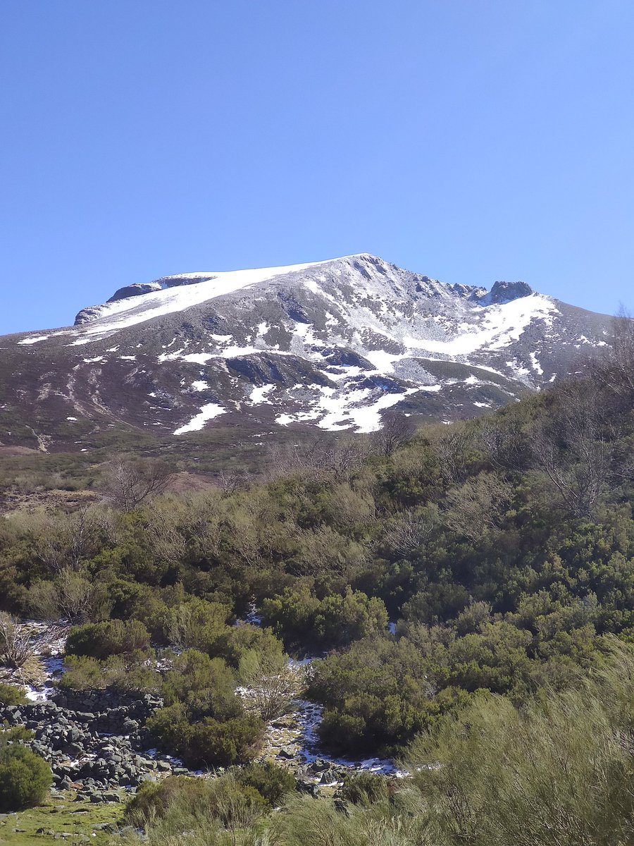 alberto lopez mariño tweet media