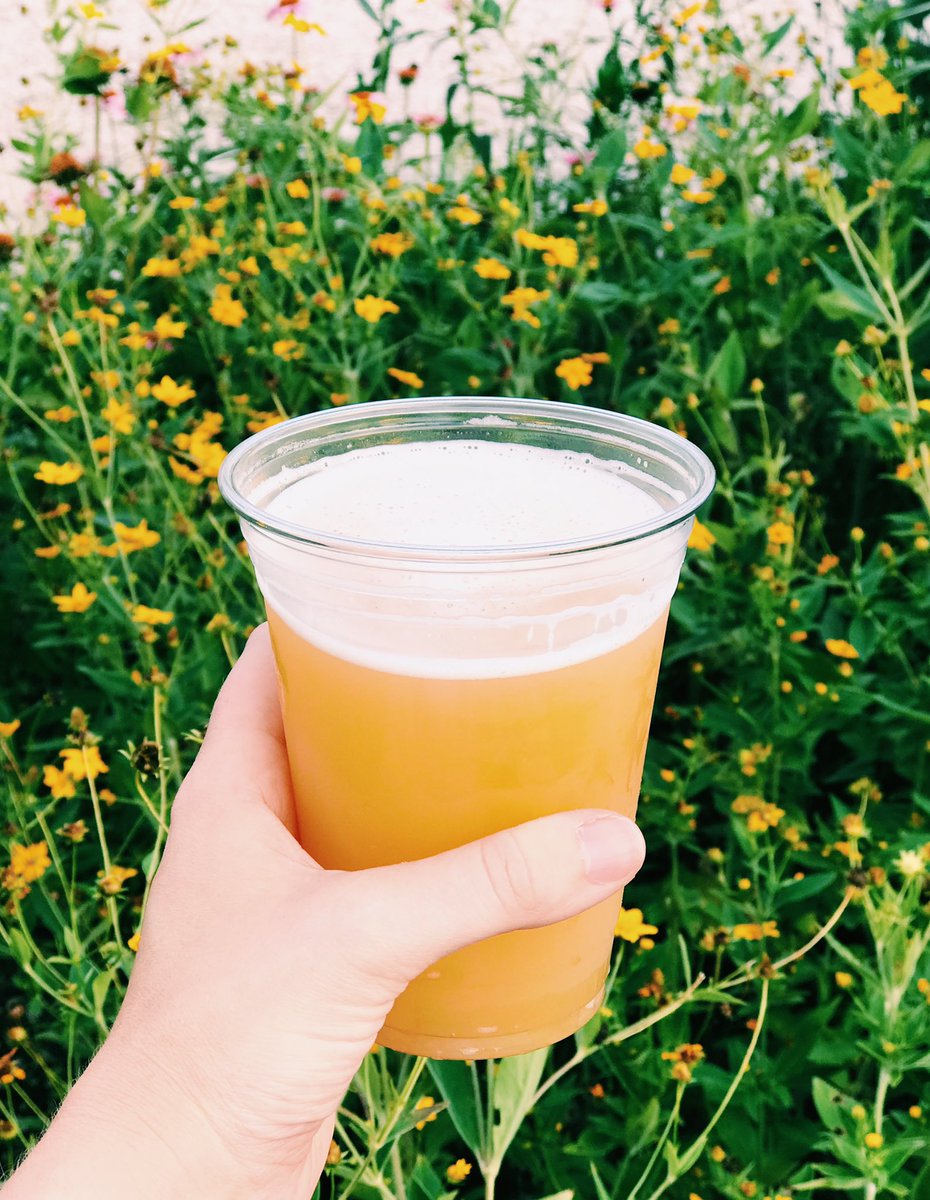 Foggy Mountain - 6.8% ABV - Our tribute to the banjo legend, Earl Scruggs. A hazy, juicy IPA focused on hop flavor, not bitterness. Heavily dry-hopped with Mosaic and El Dorado hops. Think loads of tropical fruit with subtler notes of stone fruit, pine, and citrus.