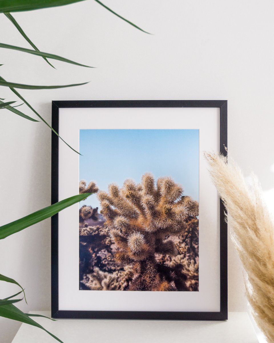 kipavista's tweet photo. We got that Friday feeling 💖
https://t.co/UWXDNzIcD6
#joshuatree #posterwall #homedecorideas https://t.co/DPj4m7LjIv