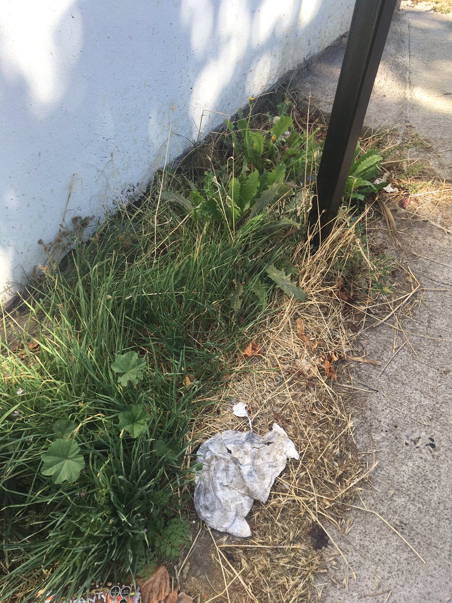 eslchile's tweet photo. @LC_jardines @LC_aseo llevo dos semanas contactando a las condes por el aseo, acá tienen un basurero y no contestan. https://t.co/XSxQ1d3Hte