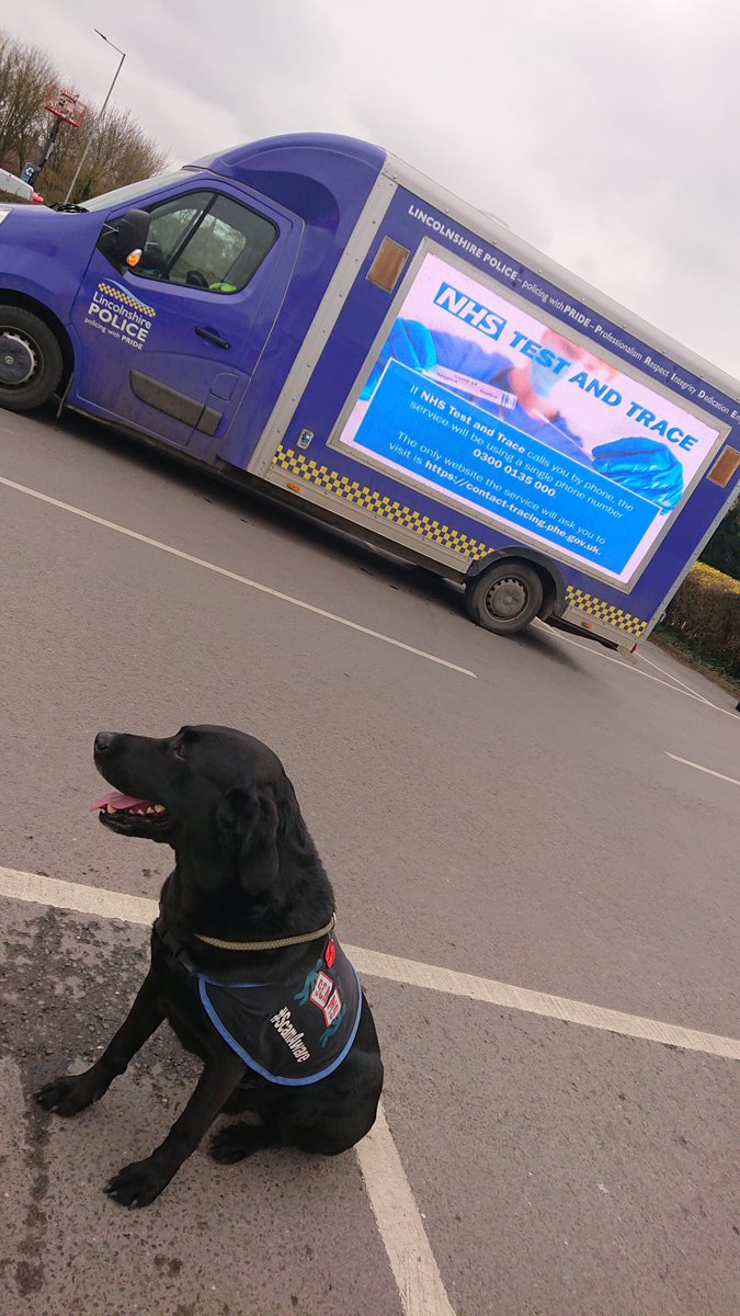 Aviation_Stu's tweet photo. Greatday today @Tesco #Horncastle with @WoldsSthPolice & #Scambassadogs Jay
Giving the #ScamAware @TakeFive #Tell2 @AgainstScams @NHSCFA prevention against #Scams & #fraud https://t.co/fE6cYdVPE0