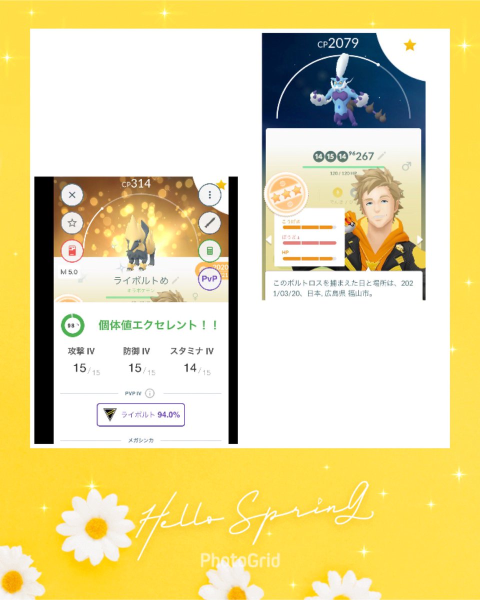 ボルト 画像 最新情報まとめ みんなの評価 レビューが見れる ナウティスモーション 9ページ目