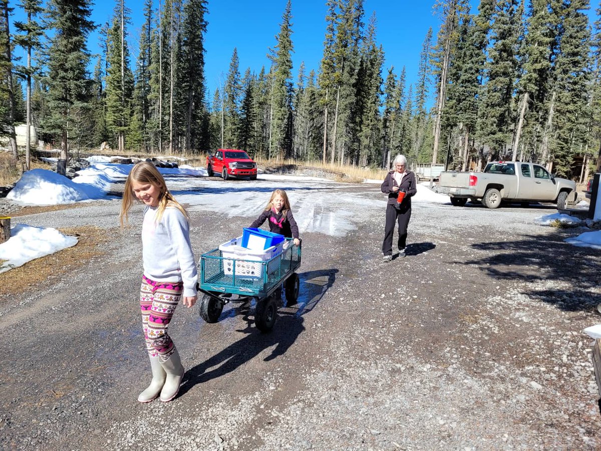 expansecottages's tweet photo. A little training (and a little fun 😉) for the young ones on their day off from school!! 😄🙌

#nordegg #nordegglife #expansecottages #expansefamily #cabinlife #springtimeinnordegg #springiscoming https://t.co/NRpvWECZI9
