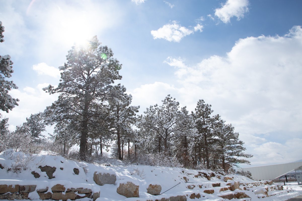 Happy first day of spring, Mountain Lions! ☀️🌷

Enjoy your long weekend (reminder: March 22 - 23 is our second spring break)!