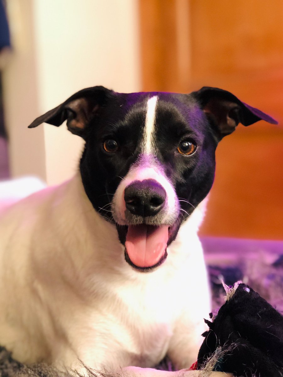 LUCILLE STOOLE tweet media