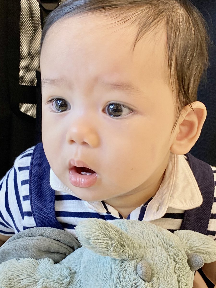 bbaakk's tweet photo. Went out and spent my holiday break with this little sonshine before another full day of shoot tomorrow. #heysethumar https://t.co/F0S24tsJlh