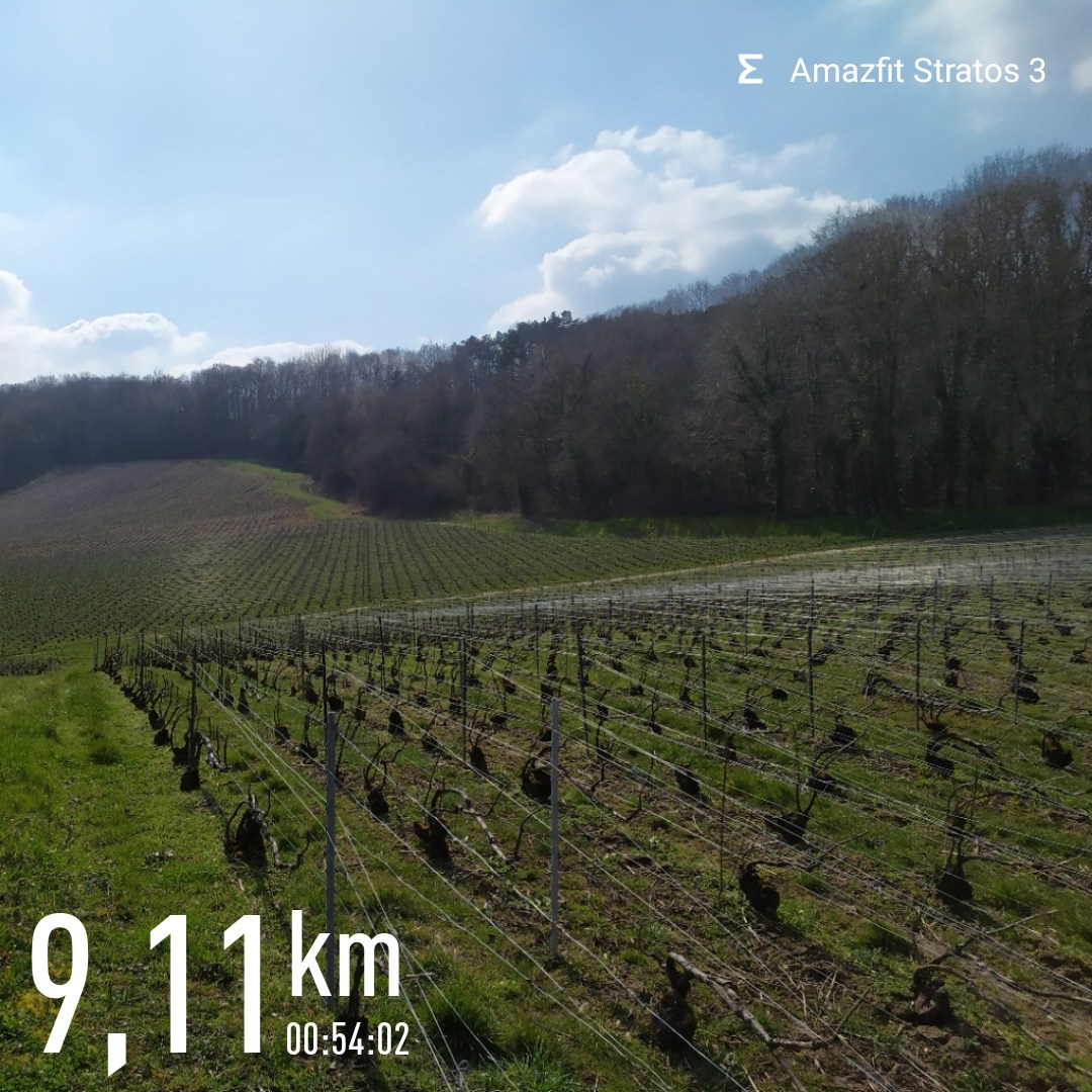 AntoineM08's tweet photo. #running de vignes où je cours ? Pour tout ceux coincés dans leur bulle et qui trouve qu'on pousse le Bouchon 🥂🍾 la France saine vous salue 😉😆🤣 reco #podcast @dltdc_podcast
Et les #93jours de Guillaume je dis +1 aux energy balls #dattesaddict ✅ en #marathon https://t.co/545p38xsO7