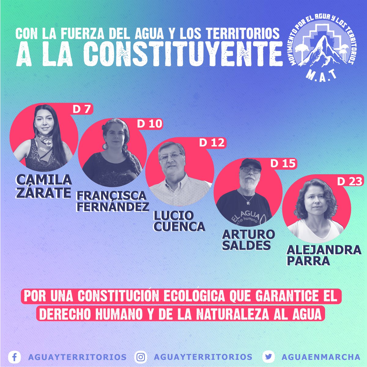 Francisca Fernández Droguett tweet media