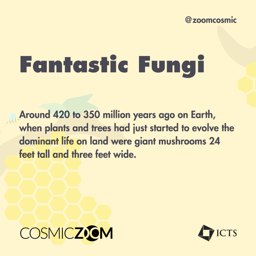 ZoomCosmic's tweet photo. Fantastic Fact for the day.
Did you know that the ancient Earth was once covered in giant mushrooms?
#CosmicZoom #FabFact #Scale #BaSH #SciComm #ScienceCommunication #PublicEngagement https://t.co/CyzCTs45xE