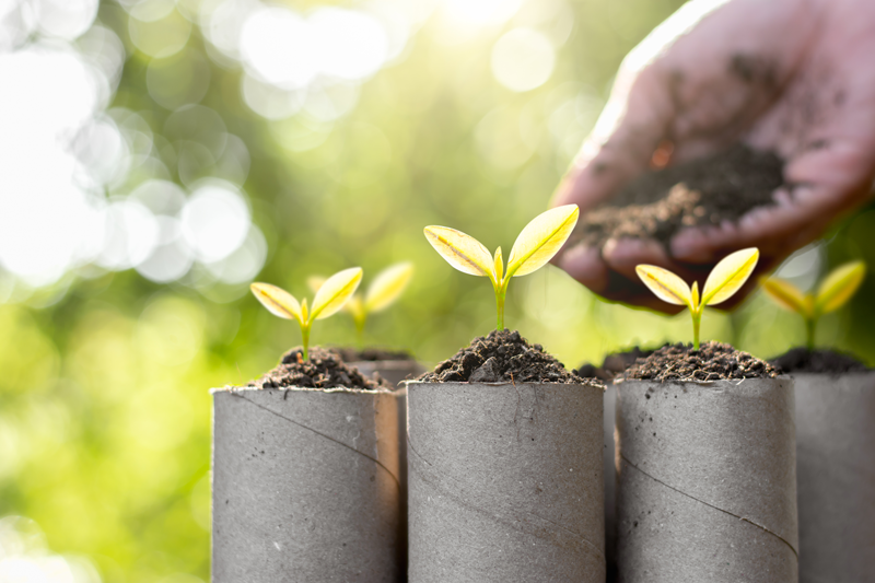 Oaksterdam's tweet image. Happy First Day of Spring!

These seedlings were planted in empty toilet paper rolls as an ecology concept. What are some of your favorite eco friendly garden hacks?

#oaksterdam #firstdayofspring #recycleandreuse #sustainability