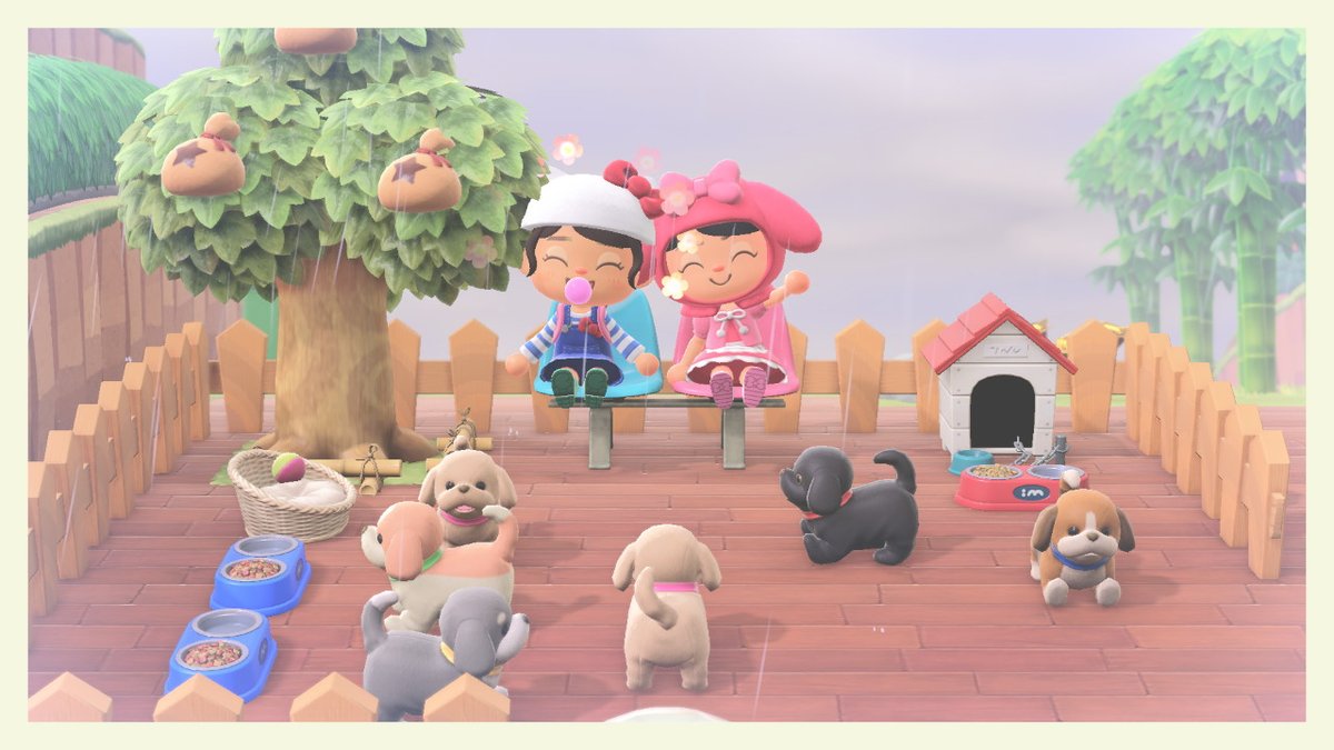 _auroracecilia's tweet photo. #AnimalCrossing #ACNH #NintendoSwitch https://t.co/hNQVfRQMuS