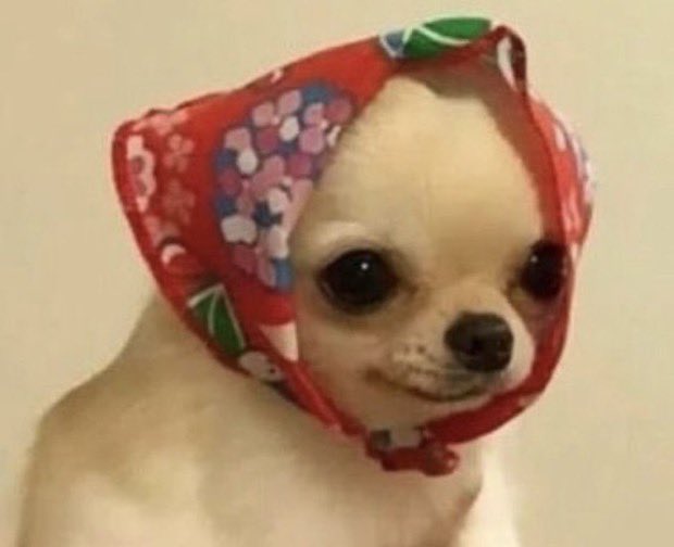 Everyone say happy birthday to bestie tessa violet 